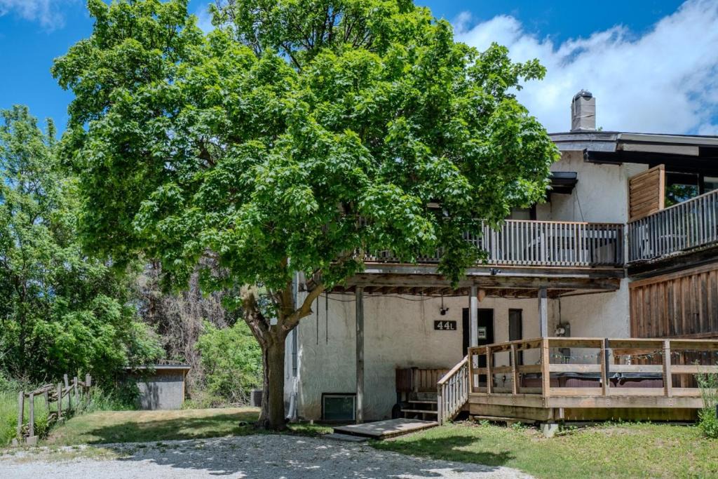 The Blue Mountains Villa | Blue View Chalets