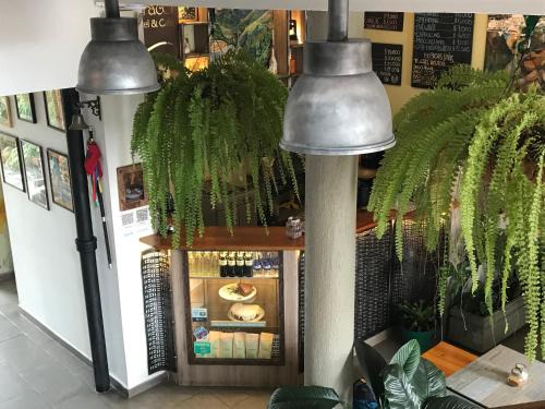 Popayan Hostel | El Caracol