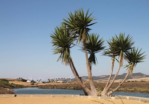 Apartment Cervantes in Conil centre in Conil de la Frontera