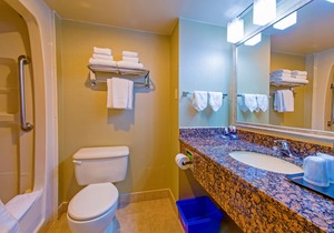 Best Western Plus Toronto Airport Hotel in Mississauga