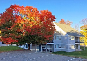 Killington Blue Studio: Sleeps 4, Close to Mtn 123 in Killington