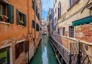 Lion 5 in Venice