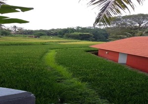 Lotus Guesthouse Sudaji: a natural and unique place in the North Bali. in Singaraja