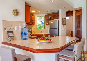 Penthouse Beachfront Condo with Pool & Panoramic Views in Akumal