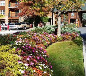 Townhome Gatlinburg 