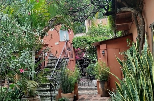 Ruta Independencia Apartment | Amazing Oasis 2-bedroom apartment in Centro Oaxaca de Juárez