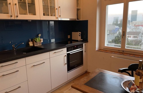 Oerlikon Apartment | Studio with double bed, kitchen and bathroom/WC