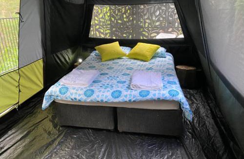Tallebudgera Other | Trees Rd Glamping