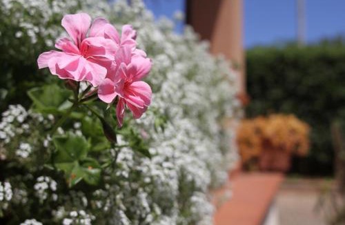 Mondello Villa | VILLA LEA