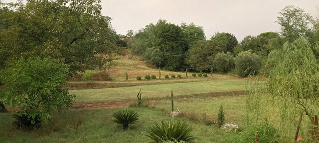 Accommodations in a medieval tower in Lucca, surrounded by the tranquility of nature in Lucca