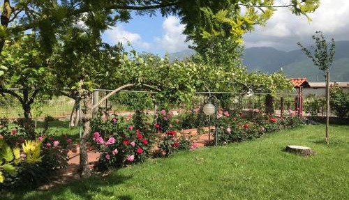 Alma Migrante bed&wine in Telese