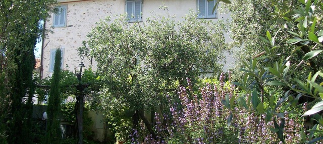 ANTICO BORGO Holiday Home, ancient farmhouse, 4km from the beach, near the Alps in Ripa- Pozzi-Ponterosso