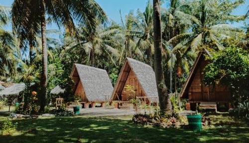 Bunga Jabe in Karimunjawa