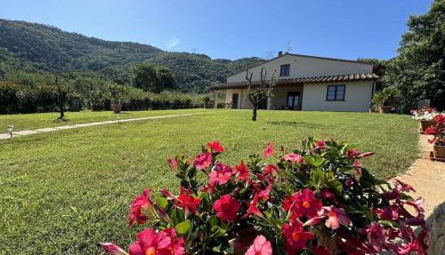 Casa Viviani in Lucca