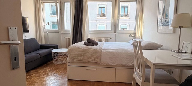 Central Geneva Studio with free Travel Pass in Genève