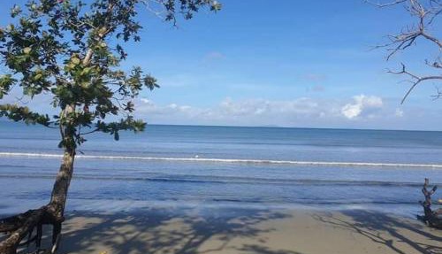 Cozy Bure in Pacific Harbour
