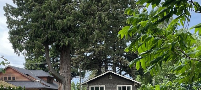 Cozy Riverside Cottage with Private Hot Tub in Harrison Hot Springs