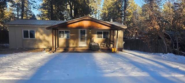 Cuatros Pinos ~ Quiet Tall Pine Retreat in Durango