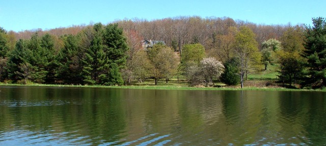 Dog Friendly Retreat w/Deck & Meadow Views in Swanton
