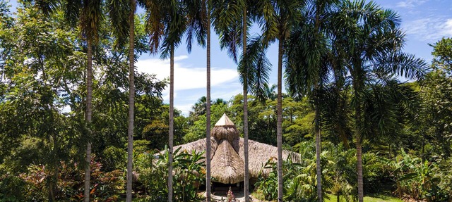 Eco-friendly structure, inspired by a Yarumo leaf, features five deluxe guest rooms ideal for couples, families, or small groups of up to four guests. in Restrepo