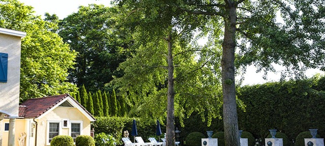 Fairy Tale Guest Cottage in Magic Garden by Pool in Bridgehampton