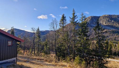 Fjellvang in Vikberget