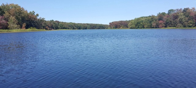 Gorgeous All Season Water Front Cabin in Belleville