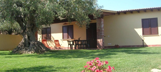 House Immersed among the centuries-old olive trees in Sciacca