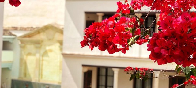 Las Casas de la Judería de Córdoba in Córdoba