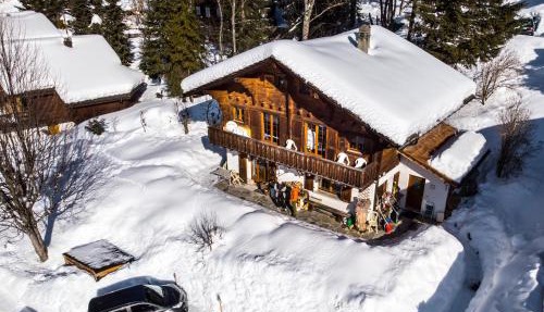 le castor in Morgins