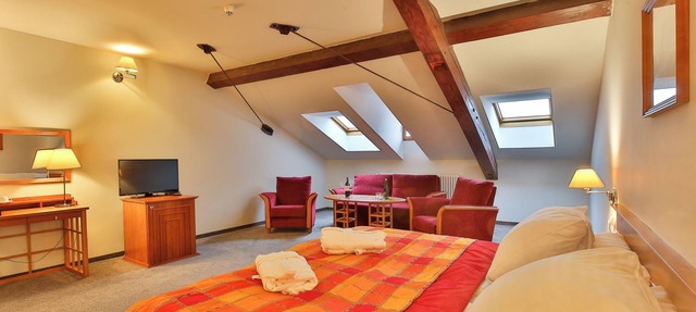 LH Hotel Dvorak Tabor in Tabor