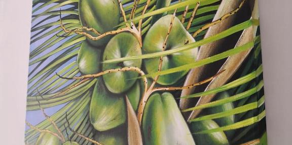 Los Cocos de Chacá in Progreso