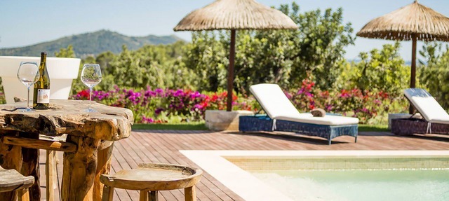 My Rental Homes | Villa Vineyard with sea view and heated salted pool in Selva