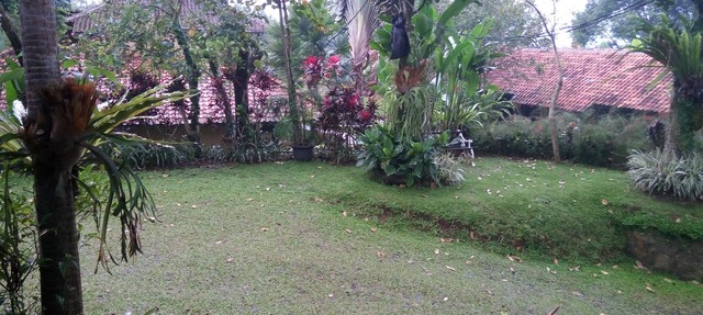 natural resort near bogor up to 150paxs in Bogor