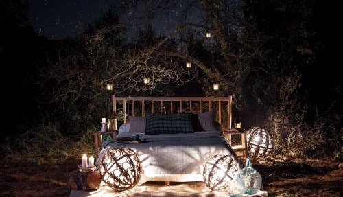 Nits de Bosc in Vilassar de Dalt