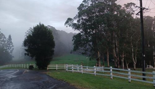 Paddock Shack in Carool