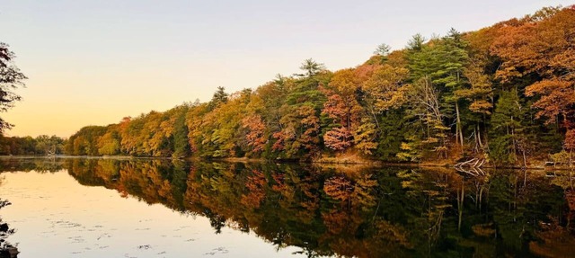Peaceful Catskills Creek House in Saugerties
