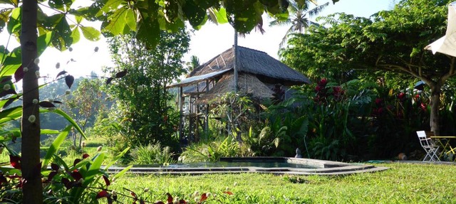 Pondok Apsari in Singaraja