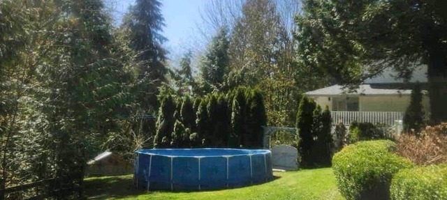Private Basement suite, beautiful ravine! Perfect, Relaxation or Celebration 🤩 in Maple Ridge