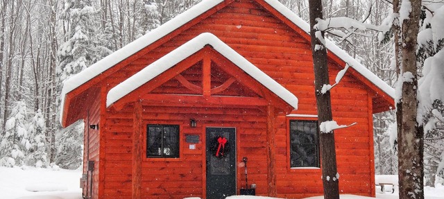 Private pet-friendly cabin in the woods w/private campfire pit & screened porch in Ripton