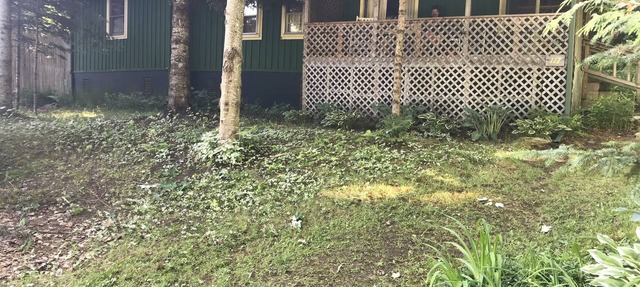 Rustic cabin on Daniel's Pond. in Glover