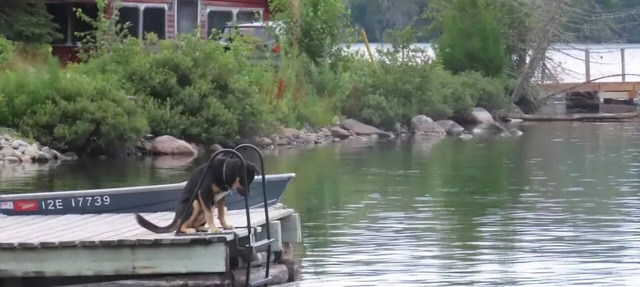 Rustic Log Cabin #8 on Crow Lake at Bull Moose Lodge. Family and pet friendly in NESTOR FALLS