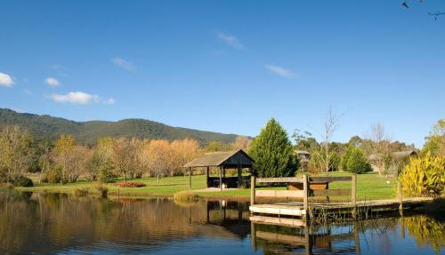 Sanctuary Park Cottages in Healesville