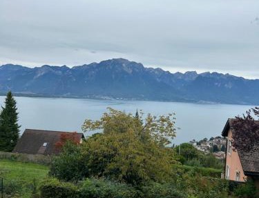 studio with amazing view in Montreux