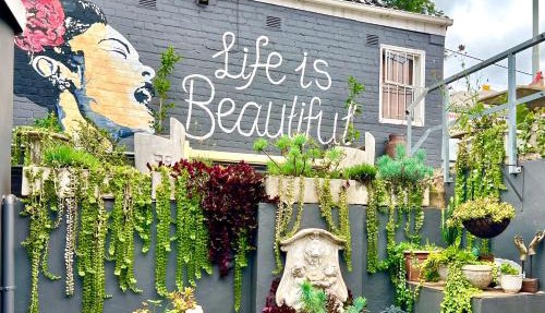 Terebinte Bed & Breakfast - Durban in Durban