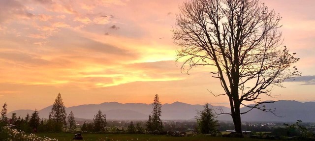 THE VIEW BNB Forest Retreat with Scenic Farm Views | 10 Min to Chilliwack in Chilliwack