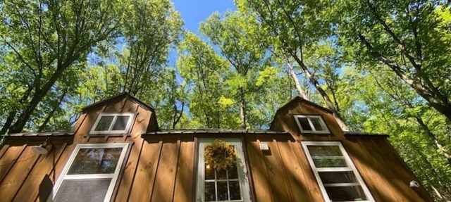 Tiny Cat Tiny House in Grahamsville
