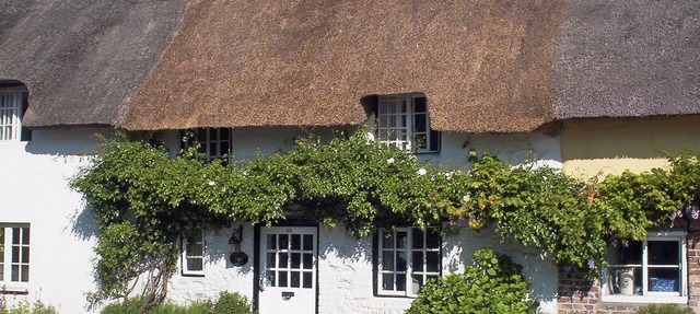 Tranquillity Cottage in Winfrith Newburgh