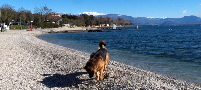 Una casa tra gli olivi 1 Moniga del Garda in Moniga