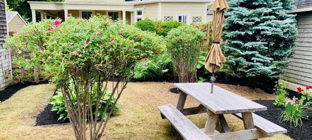 Urban Cottage - in the heart of Charlottetown in Charlottetown